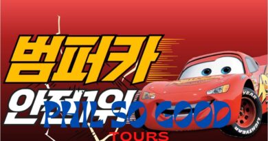 범퍼카토토