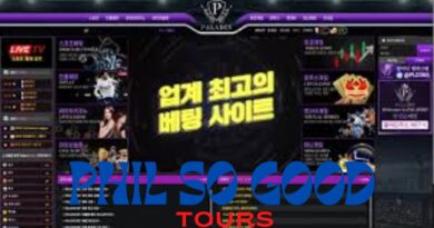 팔라딘토토